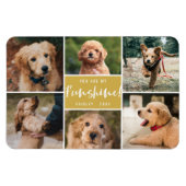 6 Foto-collage U bent mijn Funshine | Goud Pet Magneet (Horizontaal)