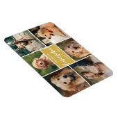 6 Foto-collage U bent mijn Funshine | Goud Pet Magneet (Rechterzijde)