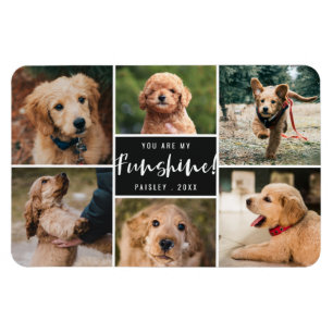 6 Foto-collage U bent mijn Funshine   Zwarte Pet Magneet