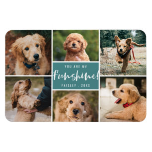 6 Foto van Collage You Are My Funshine Teal Pet Magneet