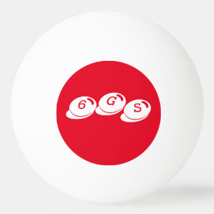 6 GROOTSCHAPSEN PINGPONGBALLEN