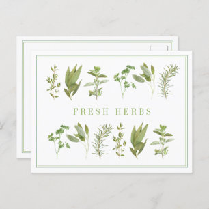 6 HERBS FRAIS Carte postale