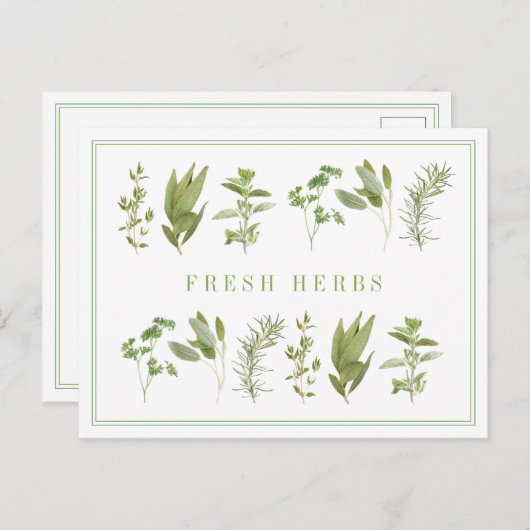 6 HERBS FRAIS Carte postale (Devant / Derrière)