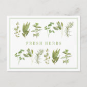 6 HERBS FRAIS Carte postale (Devant)