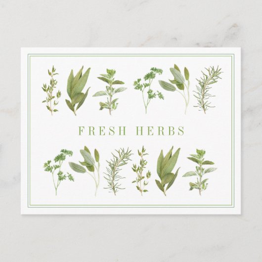 6 HERBS FRAIS Carte postale (Devant)