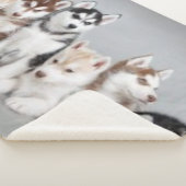 6 HUSKY-PUPPIES SHERPA DEKEN (3/4)