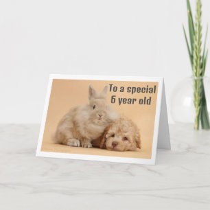 ** 6 JAAR OUDE MEISDAG* KAART