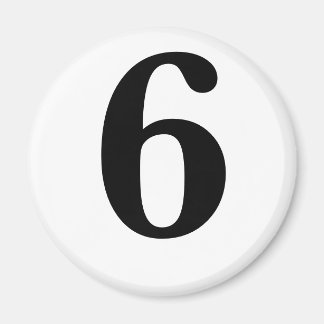 6 MAGNEET