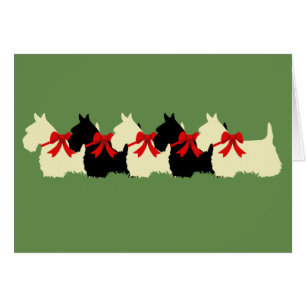 6 Schotse Terrier black/weaten, strik/blanco