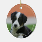 6 weken oude grenscollie keramisch ornament (Links)