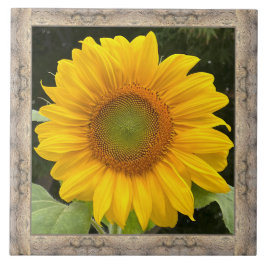 6 "x 6" keramische Tegel met vrolijke gele zonnebl Tegeltje