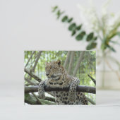 6x4 Briefkaart Sjabloon (Staand voorkant)