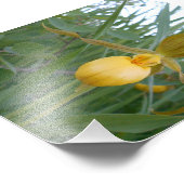 6x4 Foto afdrukken Afdruk (Hoek)