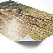 6x4 foto van afdruk (Hoek)