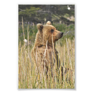 6x4 foto van afdruk