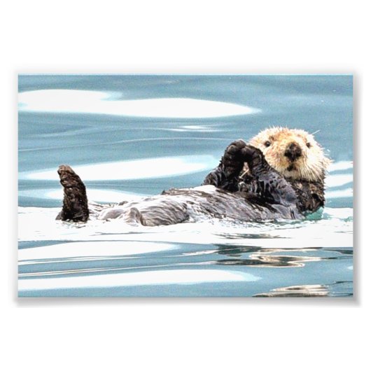6x4 foto van otters afdruk (Voorkant)