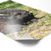 6x4 fotobuffel foto afdruk (Hoek)