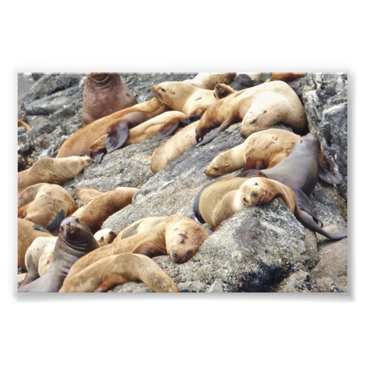 6x4 fotozegels foto afdruk (Voorkant)