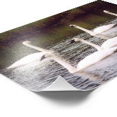 6x4-fotozwitjes foto afdruk (Hoek)