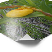 6x6 fotoafdrukken foto afdruk (Hoek)