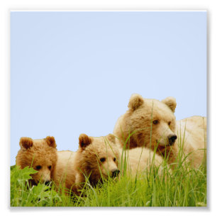 6x6 Kodak Professional-fotopapier (Satin) Foto Afdruk