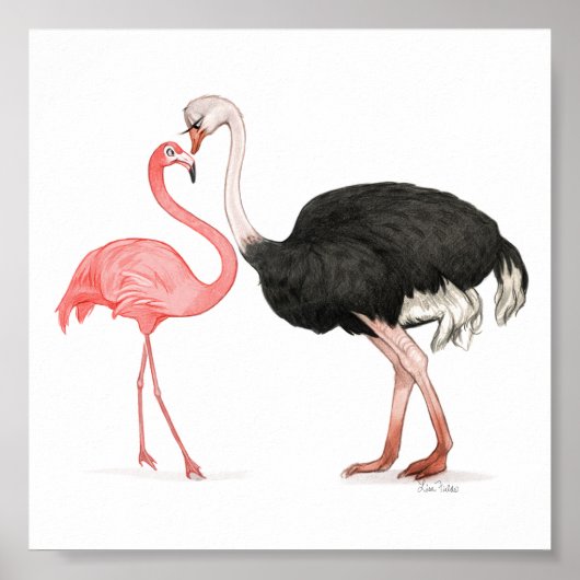 6x6 Tortelduifjes afdrukken Poster (Voorkant)