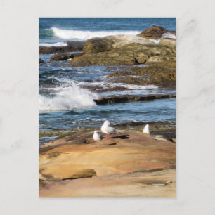 #7001 Beach Briefkaart