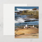 #7001 Carte postale de la plage (Devant / Derrière)