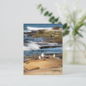 #7001 Carte postale de la plage (Debout devant)