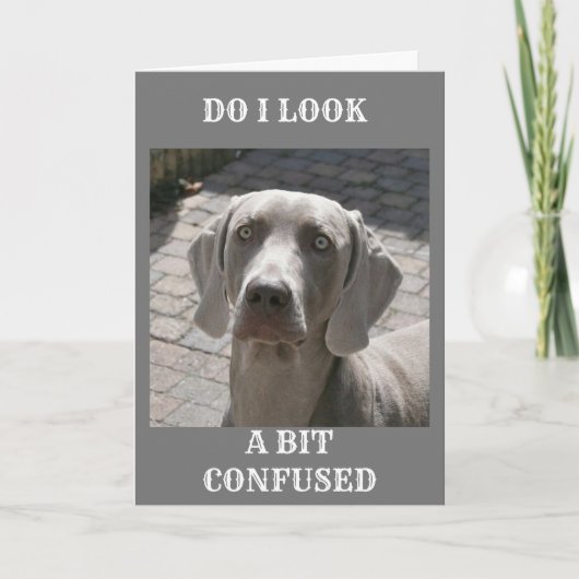 "70" COMMENT PEUT-ON DIRE CARTE WEIMARANER (Devant)
