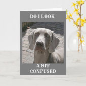 "70" COMMENT PEUT-ON DIRE CARTE WEIMARANER (Fleur jaune)