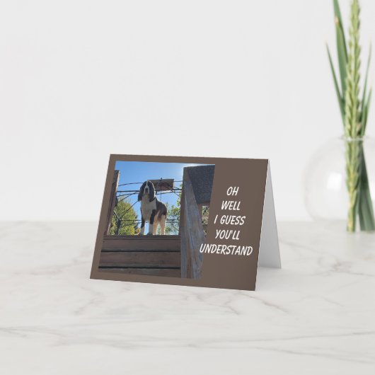 70e ANNIVERSAIRE D'UNE CARTE DE CHIEN COMÉDIQUE (Devant)