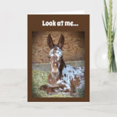 **70e ANNIVERSAIRE** SOUHAITEZ D'UNE CARTE COMÉDIQ (Devant)