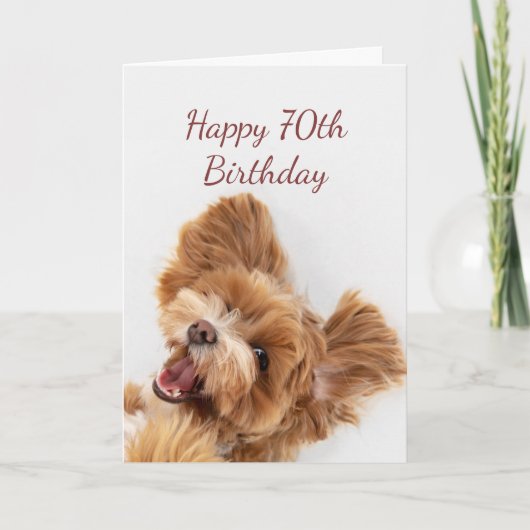 70e verjaardag Fun Start Cute Dog Puppy Pet Card Kaart (Voorkant)