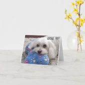 *70ste VERJAARDAG* HA HA HA HA (FUNNY DOG HUMOR) K Kaart (Gele Bloem)