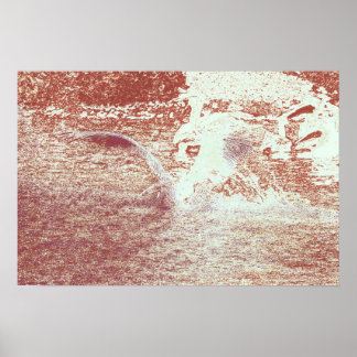 71 ter poster