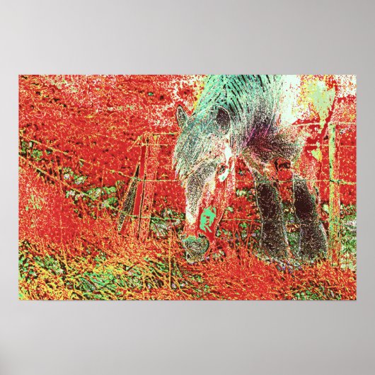 73 POSTER (Voorkant)