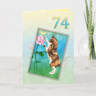 74e verjaardag met een speelse kat kaart
