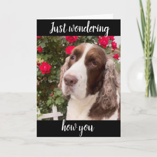 **75th & YOU ARE FABULOUS** ALTIJD! VERJAARDAG KAA Kaart