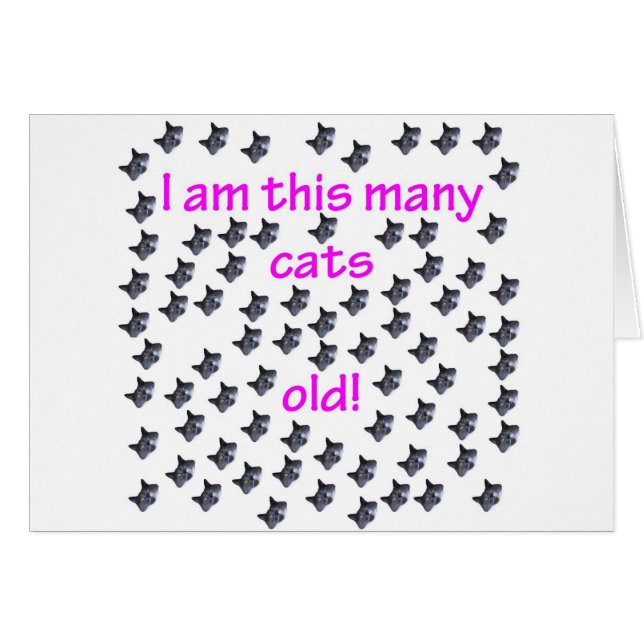 76 têtes de chat vieilles (Devant horizontal)