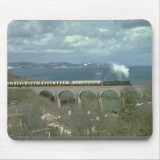 7827 Lydham Manor roteert de kust in Torbay Muismat