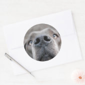 7,6 cm autocollant museau de dogue (Enveloppe)