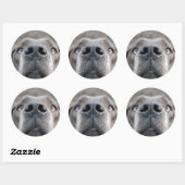 7,6 cm autocollant museau de dogue (Feuille)