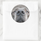 7,6 cm autocollant museau de dogue (Sac)