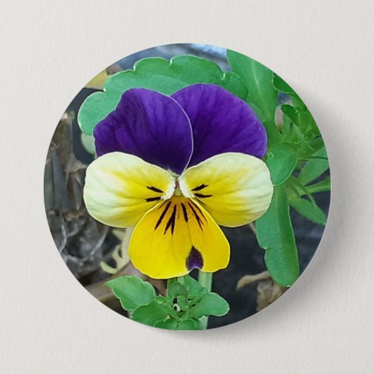 7,6 Cm Badge rond Pansy Violet et Jaune (Devant)