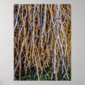 7 Imprimé, Poster Papier (Semi-Gloss) (Devant)