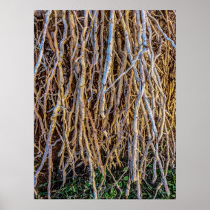 7 Imprimé, Poster Papier (Semi-Gloss)