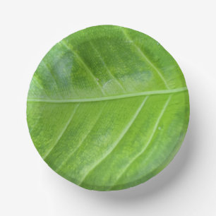 7-inch papieren kom met betoverend groen blad