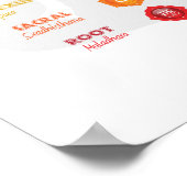 7 Poster Chakra (Coin)