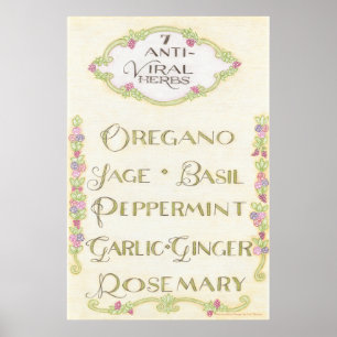 7 Poster d'herbes antivirales